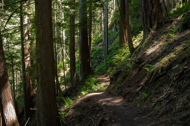 Image de l'événement C’est un signe