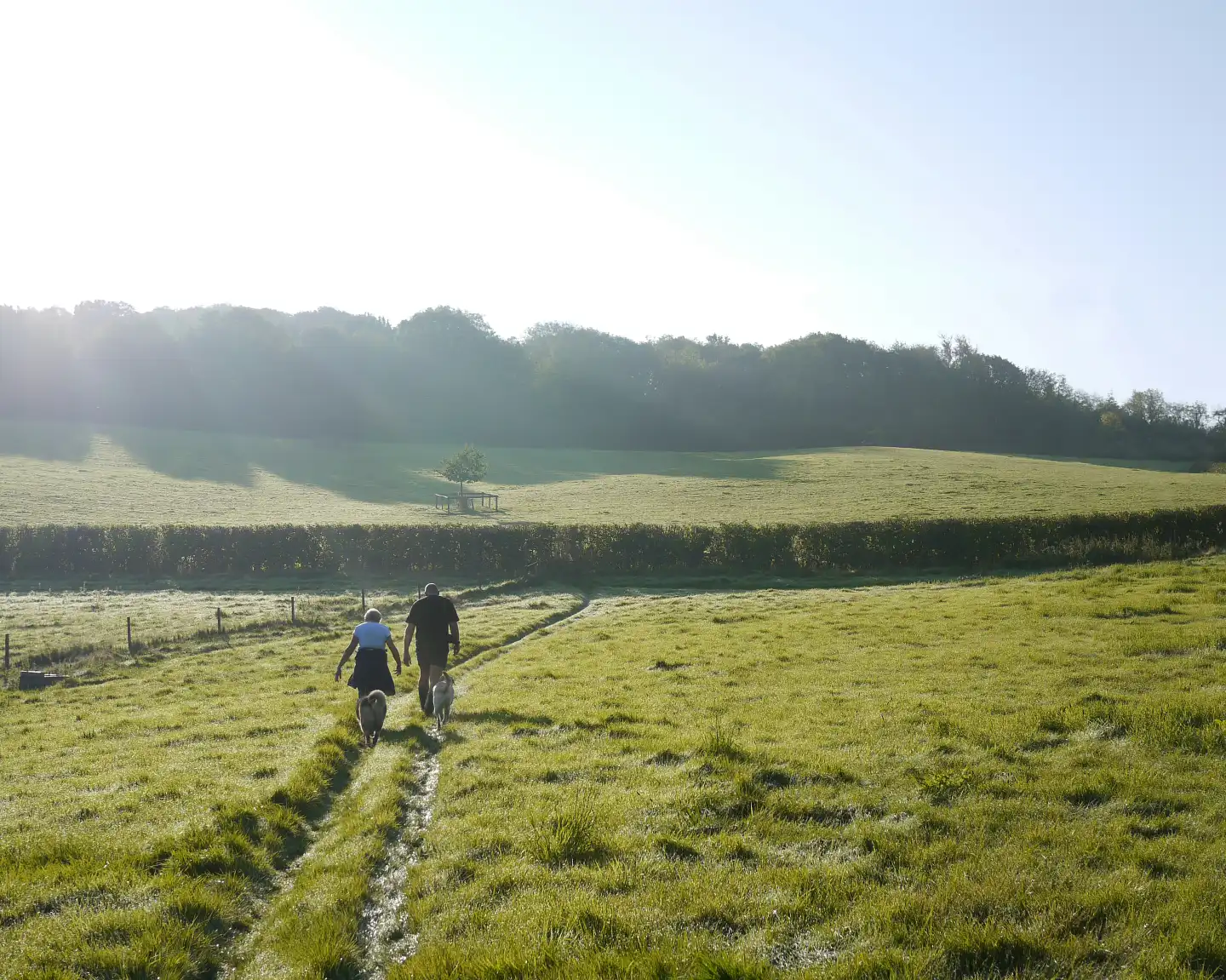 Image de l'événement MANIFESTIVE À VÉLO