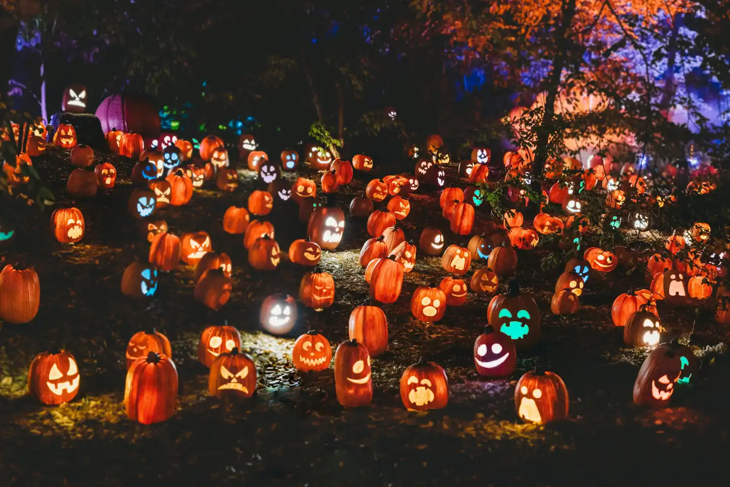 Image de l'événement Balade contée d’Halloween - Nettinne