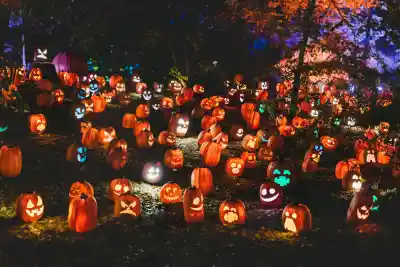 Image représentant la catégorie "Halloween"
